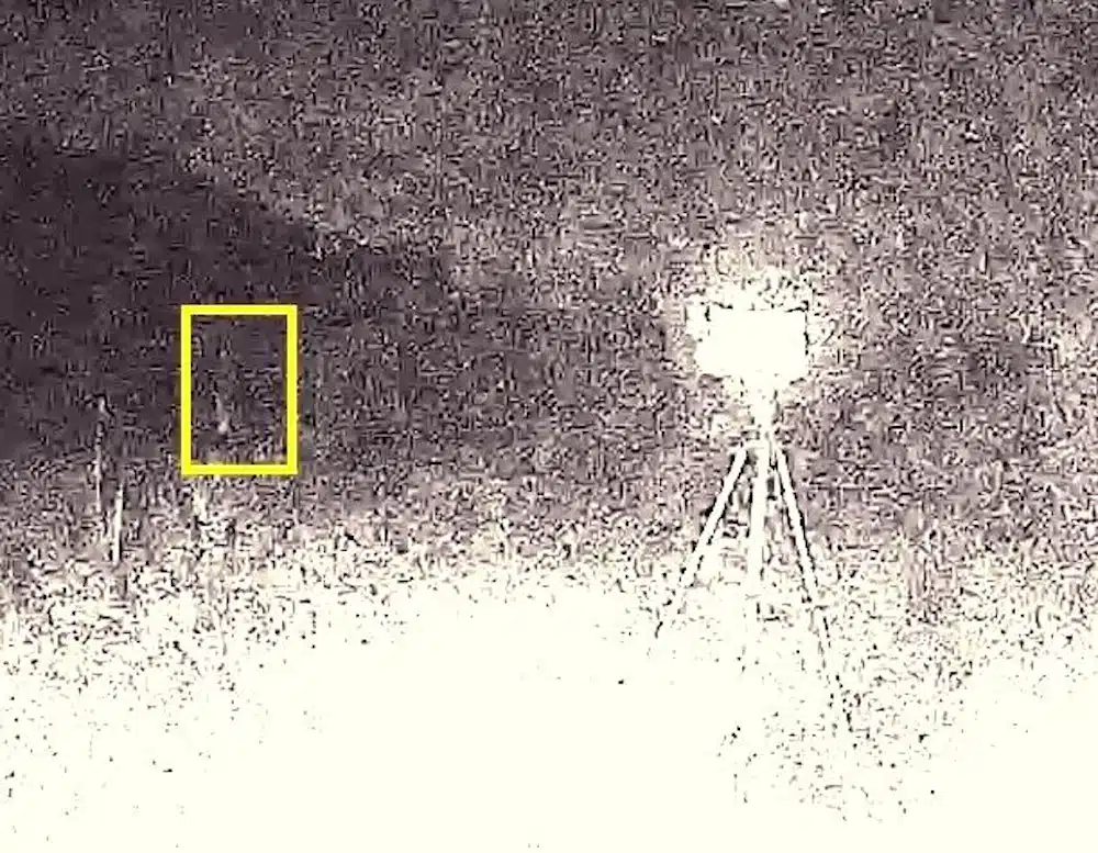 Feldweg Hameln Anomalie